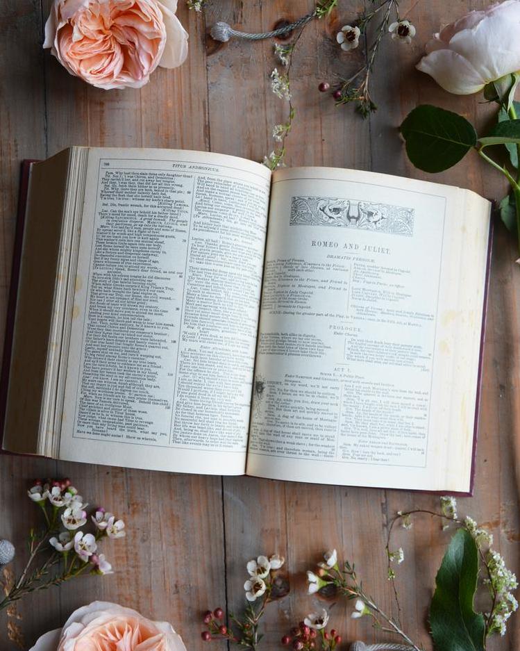 バレンタインデーのためのロマンチックな桃のバラ デビッドオースティンの結婚式とイベントのバラ