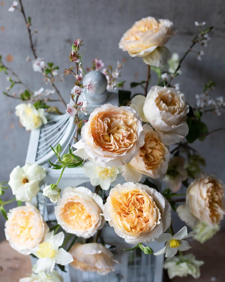 Beatrice Roses styling inspiration