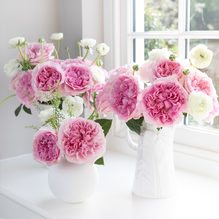 Miranda Pink Roses in White Vases on Windowsill