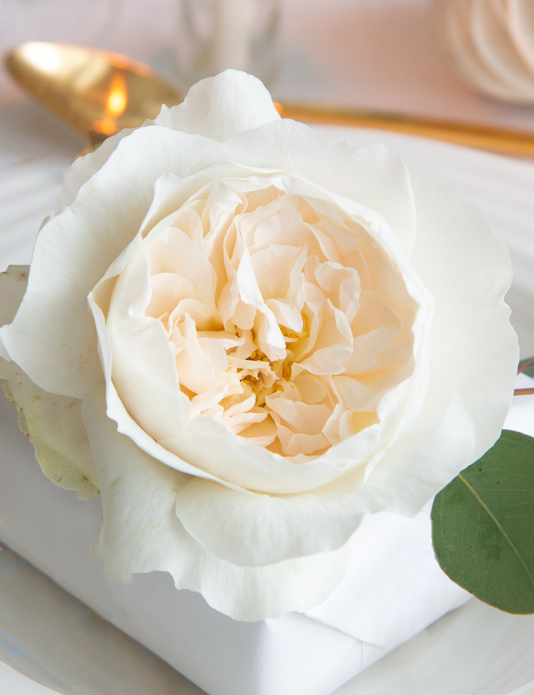 Sugar Flower Juliet Rose (Juliet David Austin Rose) - Cake Topper