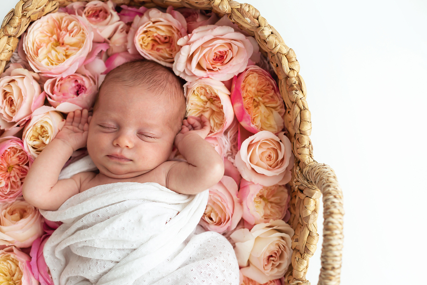 Baby-Fotoshooting mit David Austin Roses