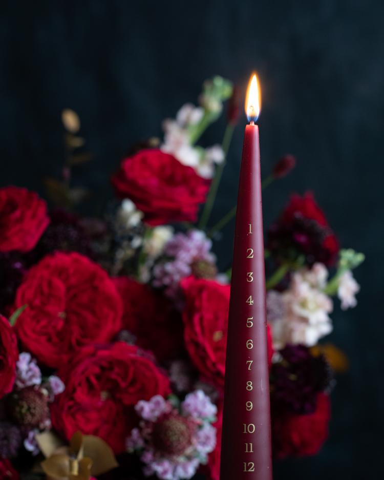 Tess David Austin Roses Vela de Adviento de cerca