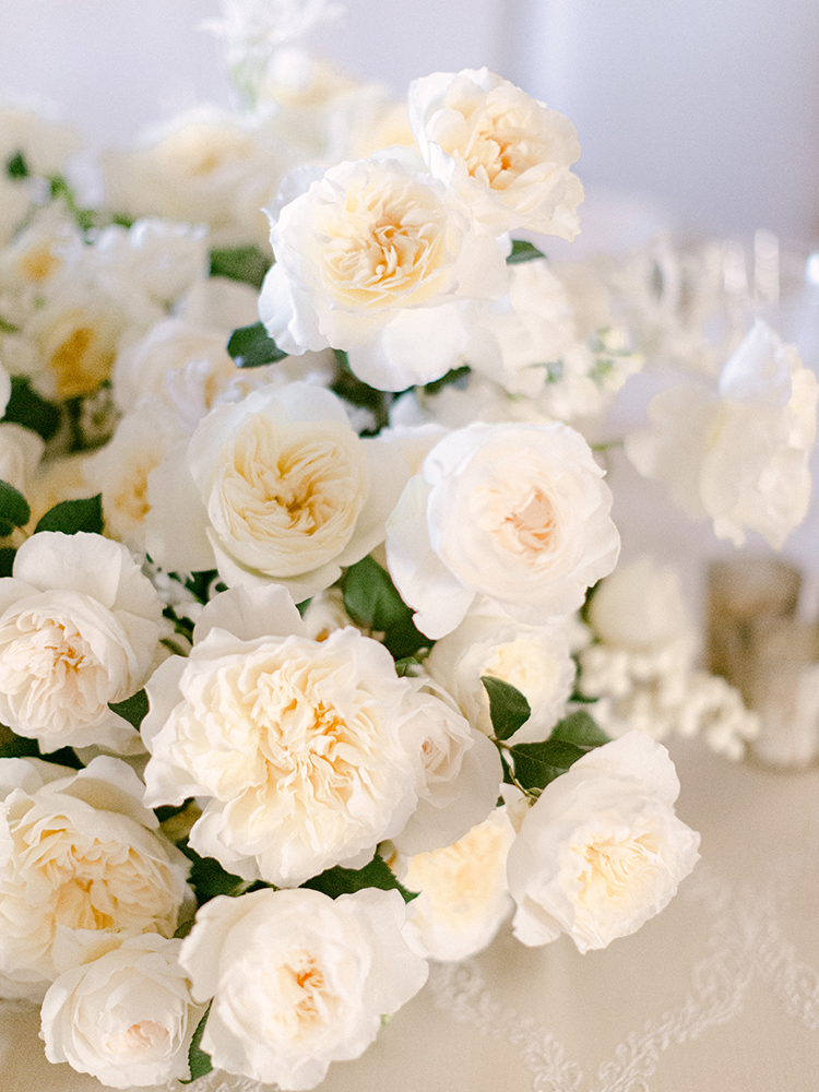 Roses blanches pour les fleurs de mariage