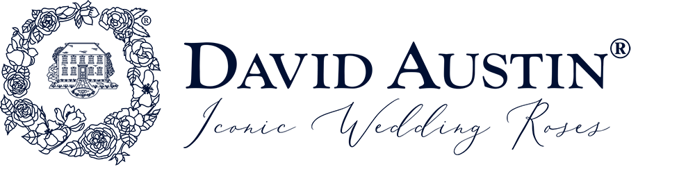 Logo delle rose di David Austin Mezzanotte